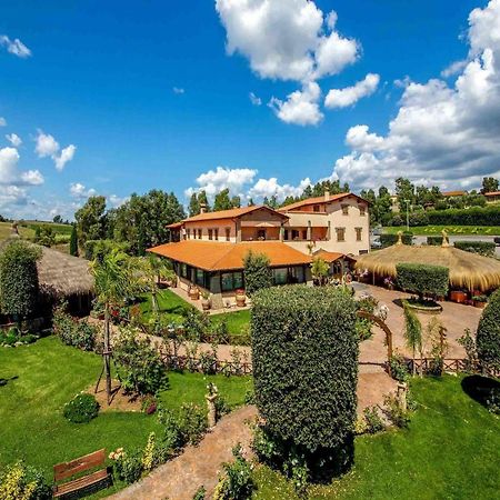 Agriturismo 4 Ricci Cerveteri Exterior photo